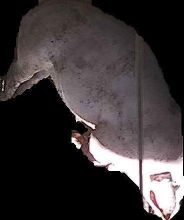 Crop