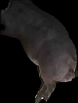 Crop