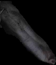 Crop