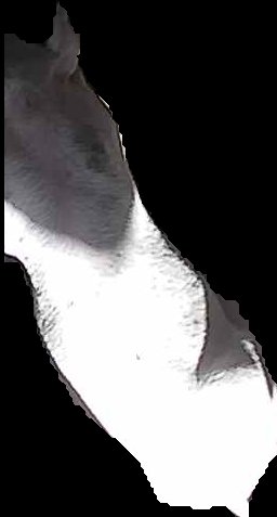 Crop