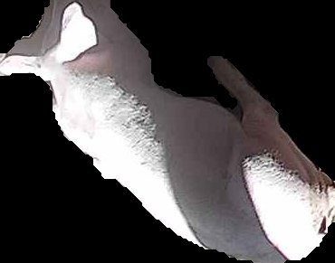 Crop