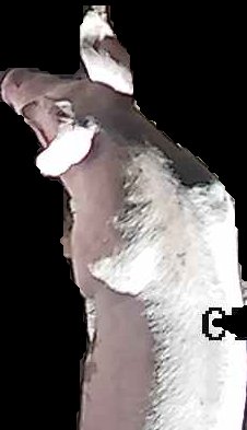 Crop