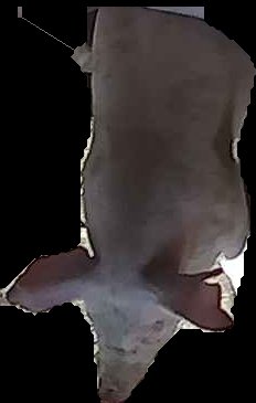 Crop