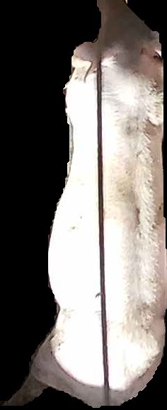 Crop