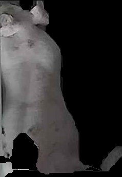 Crop