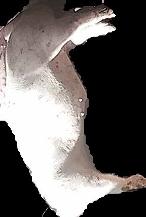 Crop