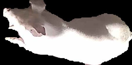 Crop