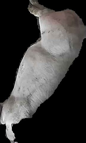 Crop