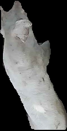 Crop
