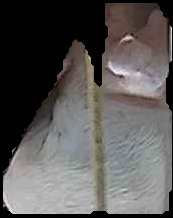 Crop