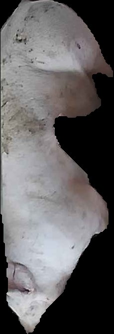 Crop