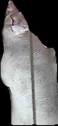 Crop