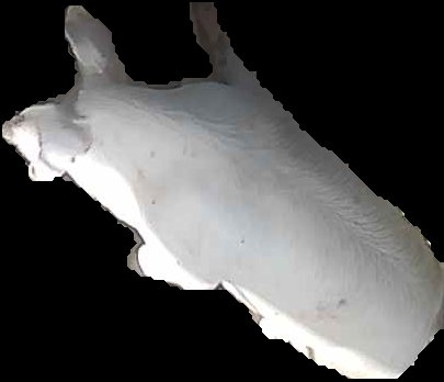 Crop