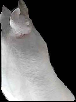 Crop