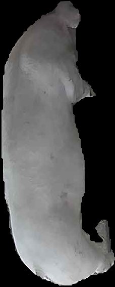 Crop