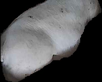 Crop