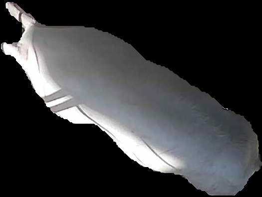 Crop