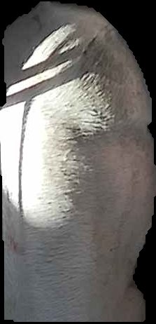 Crop