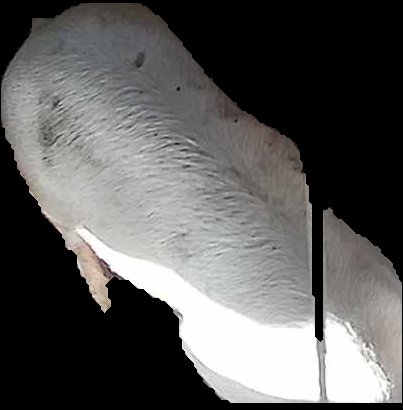 Crop
