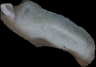 Crop
