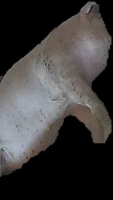 Crop