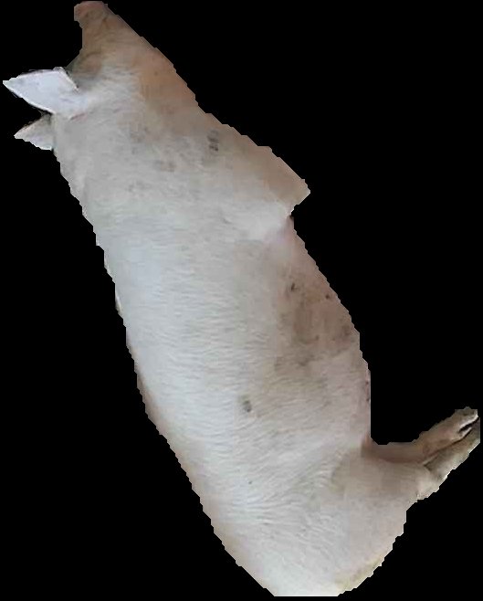Crop
