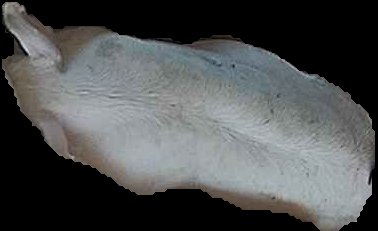 Crop