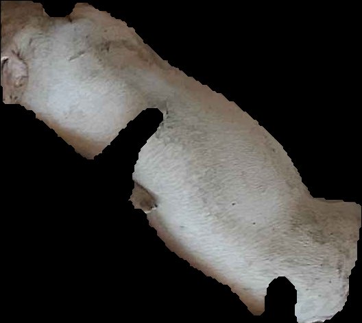 Crop