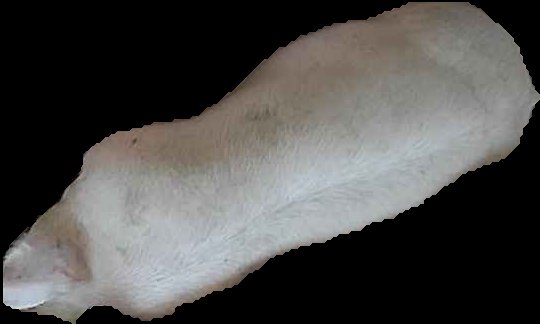 Crop