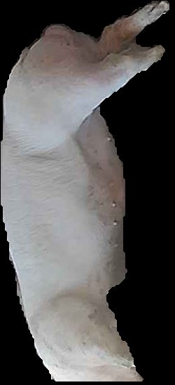Crop