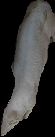 Crop