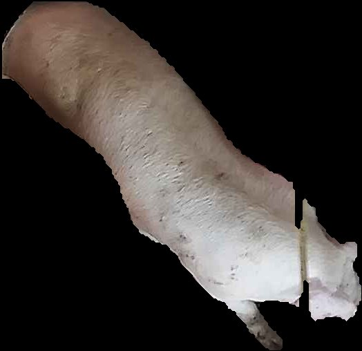 Crop