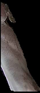 Crop