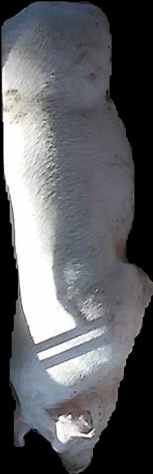 Crop