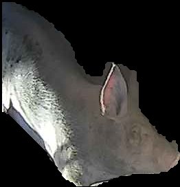 Crop