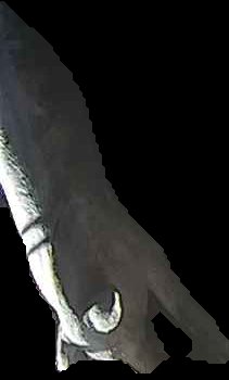 Crop