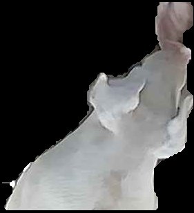 Crop