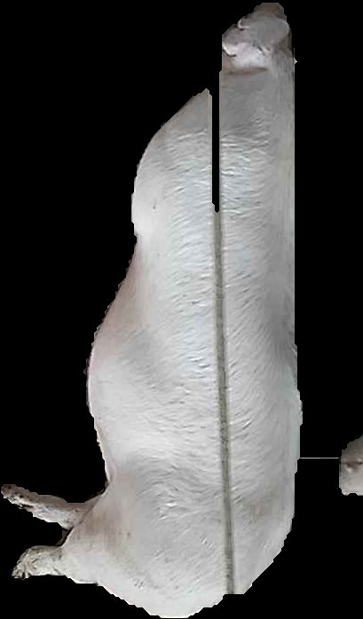 Crop