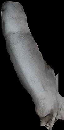 Crop