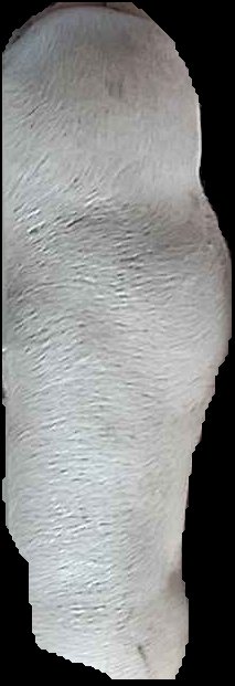 Crop
