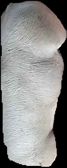 Crop