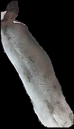 Crop