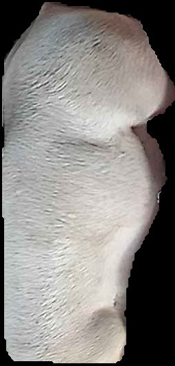 Crop