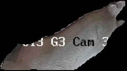 Crop