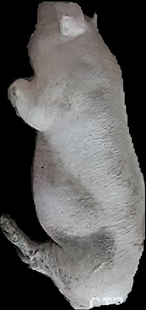 Crop