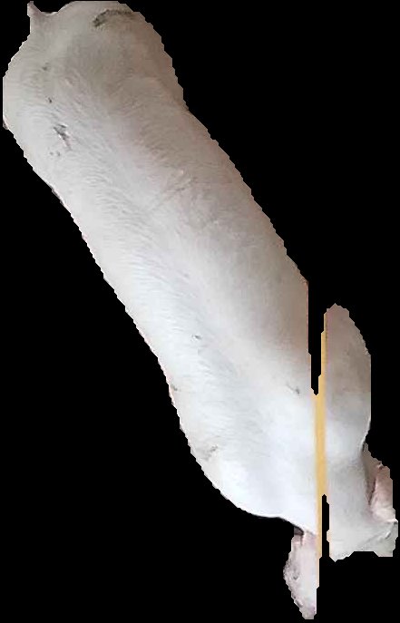 Crop