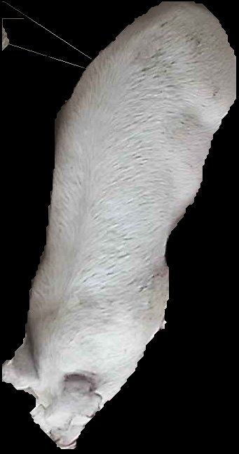 Crop