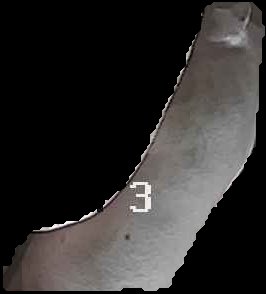 Crop