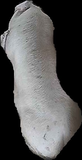 Crop
