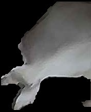 Crop